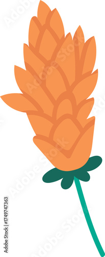 Hops flower cone for brewing producing beer