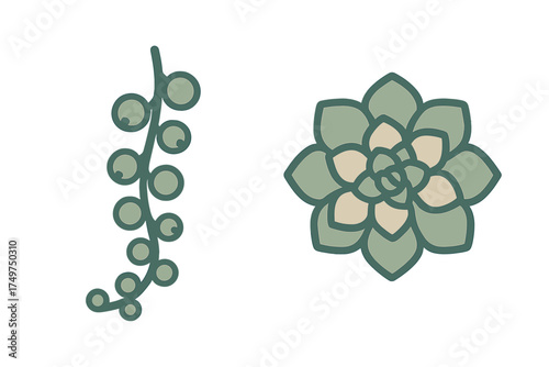 String of pearls vine and rosette succulent plant elements