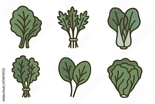 Assortment of leafy green vegetables icons set isolated on white background