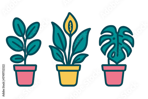 Three stylized potted house plants icons featuring vibrant containers
