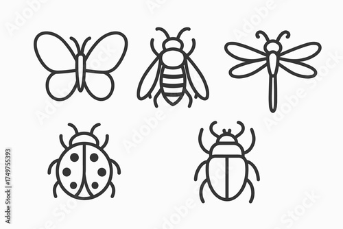 Five simple outline icons of common insects and bugs for nature themes