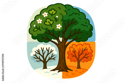 Deciduous tree cycle showing four distinct seasons in quadrants