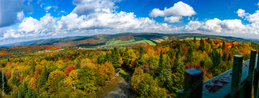 Naklejka premium A panoramic view of the Quebec fall colors