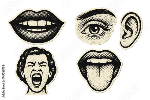 Set of five sensory organs icons featuring mouth, eye, ear, and screaming face