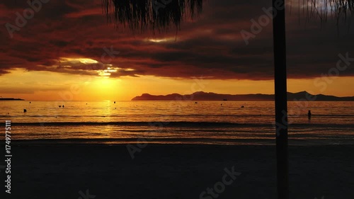 Sunset on the tropical seashore. Palm trees on the ocean shore. The perfect vacation.