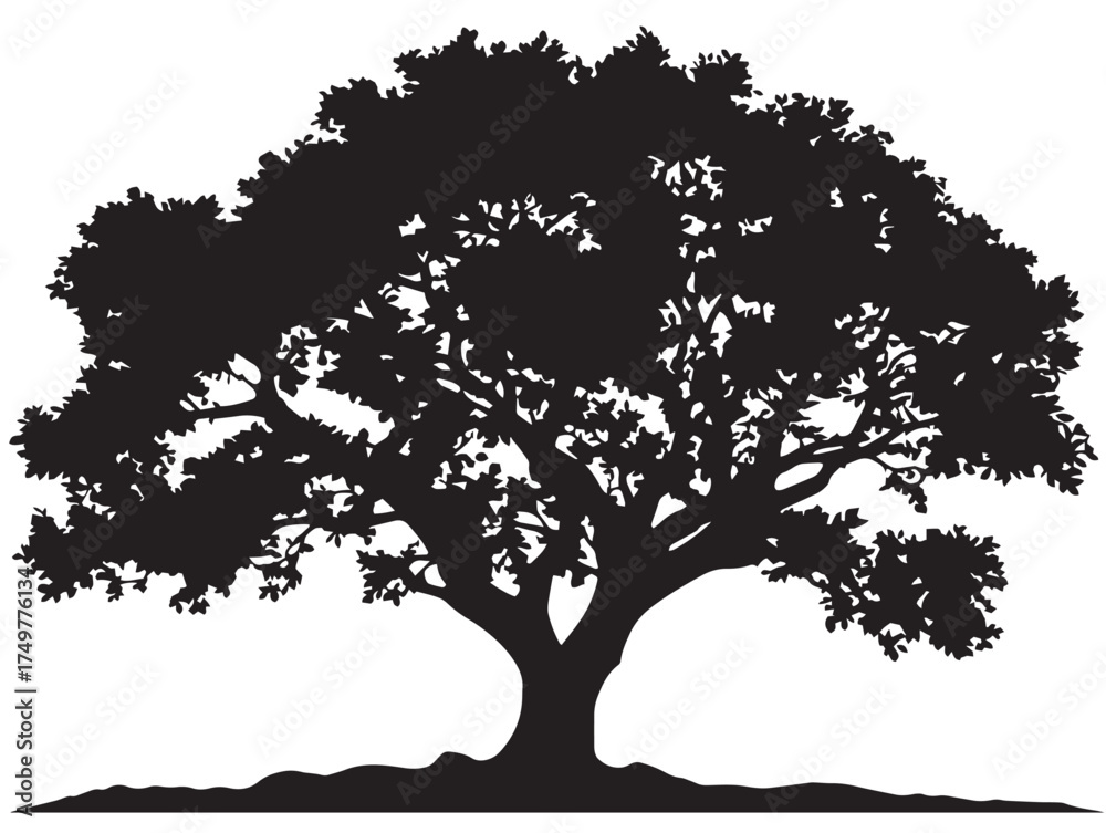Fototapeta premium Stylish Equinox Tree Silhouette Concept with Modern 2D Vector Line Art