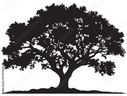 Stylish Equinox Tree Silhouette Concept with Modern 2D Vector Line Art