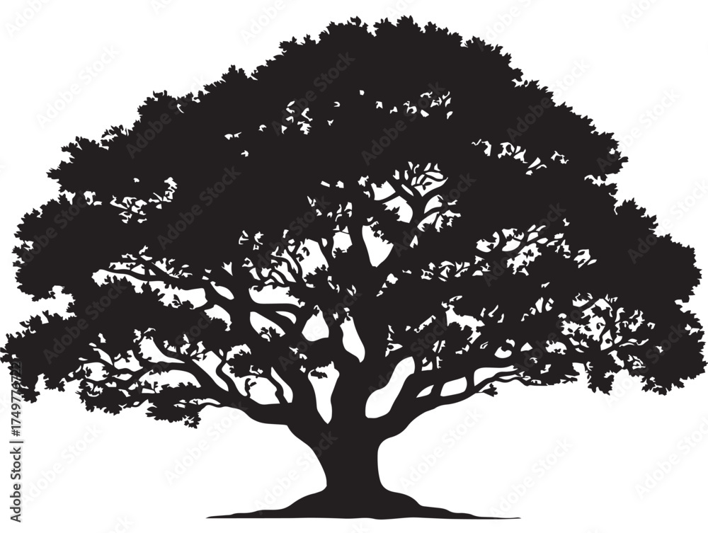 Fototapeta premium Legendary Legacy Tree Silhouette Illustration in Graceful 2D Vector Line Art