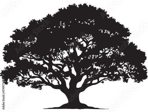 Legendary Legacy Tree Silhouette Illustration in Graceful 2D Vector Line Art