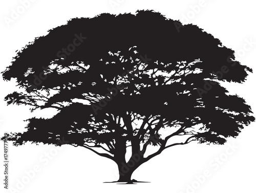 Slika na platnu Beautiful Nadir Tree Illustration Rendered in Minimal 2D Vector Line Art