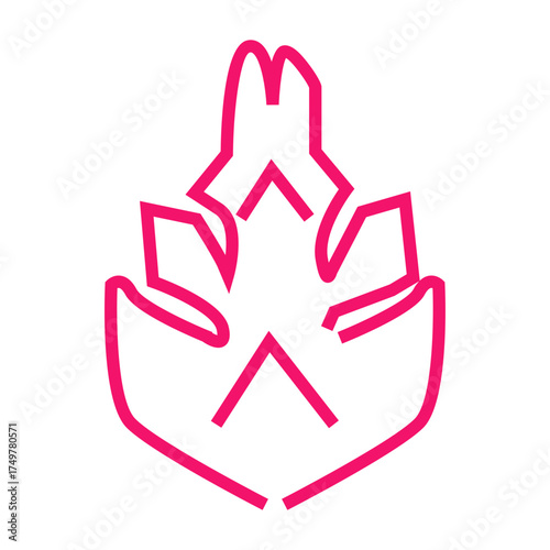 dragon fruit vector illustration