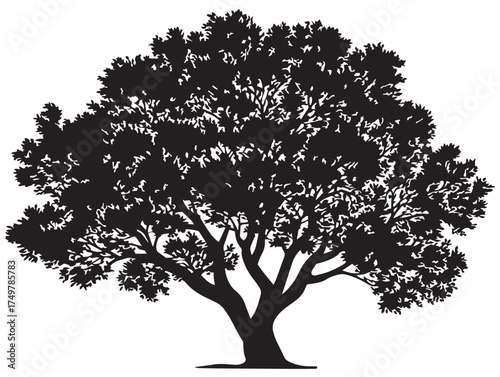 Artistic Glimmerroot Tree Design with Fine Details in 2D Vector Line Art