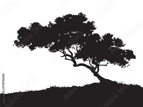 Hilltop Sentinel Tree Silhouette Overlooking Landscape in 2D Vector Line Art
