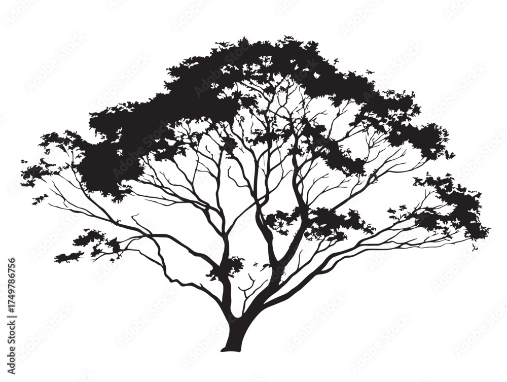 Fototapeta premium Ironbark Tree Silhouette with Rugged Texture and Power in 2D Vector Line Art