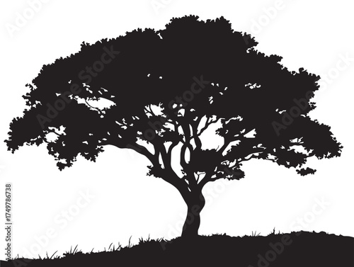 Strong Hilltop Sentinel Tree Silhouette for Scenic Concepts in 2D Vector Line Art