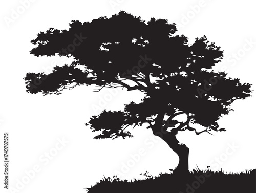 Minimal Lone Sentinel Tree 2D Vector Line Artwork