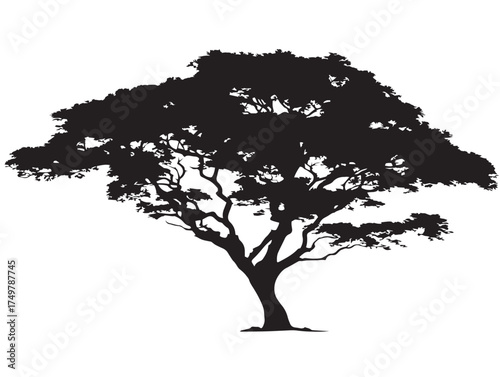 Graceful Lone Tree 2D Vector Line Art Design