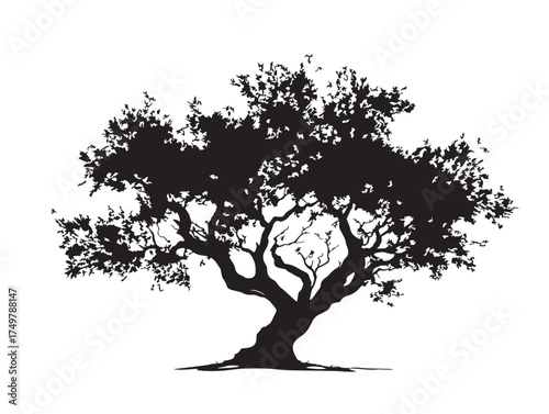 Matriarch Tree Silhouette 2D Vector Line Art Design