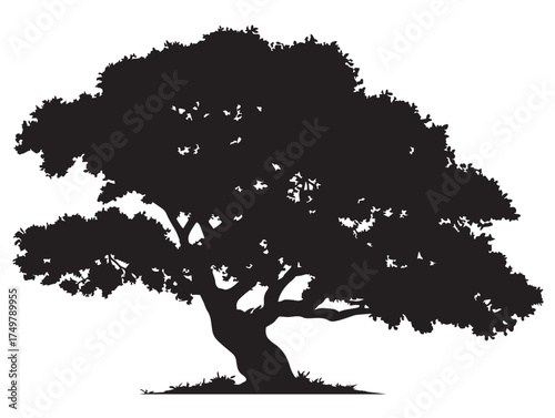 Majestic Patriarch Tree 2D Vector Line Art Drawing