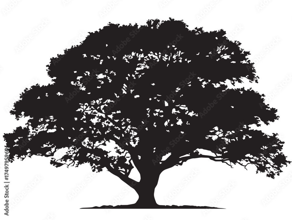 Fototapeta premium Majestic Strongwood Tree 2D Vector Line Art Drawing