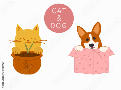 cute dog in box and cat carton vector illustration design