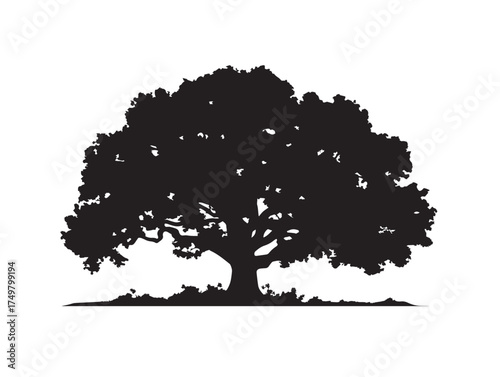 Inspiring Timeless Giant Tree 2D Vector Line Art Design  
