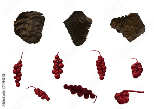 Three direction pine corn and seven direction Christmas holly isolated vector objects created by 3D modeling for Christmas decoration.