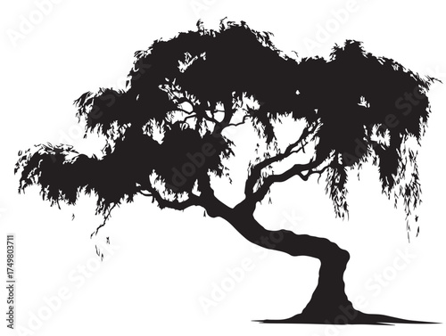 Calm Whispering Willow Tree Artwork in Minimal 2D Vector Line Art  