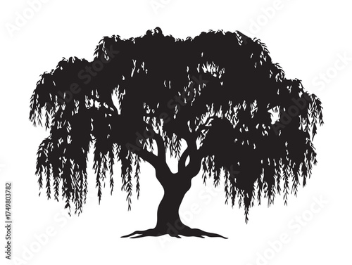 Graceful Whispering Willow Tree 2D Vector Line Art Illustration  