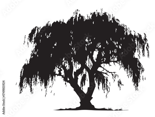 The Willow Tree Silhouette in Classic 2D Vector Line Art Style  