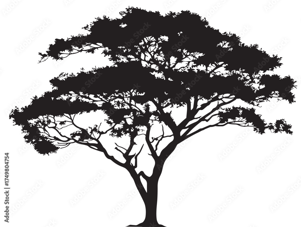 Obraz premium The Umbrage Tree Silhouette in Detailed 2D Vector Line Art Design 