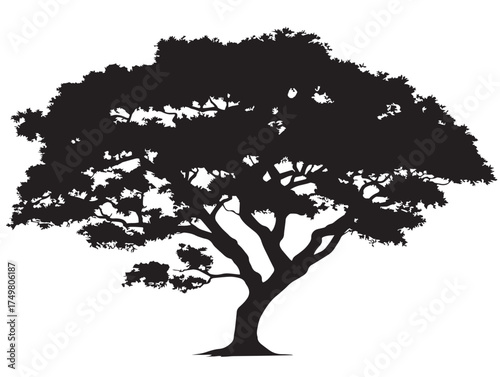 Elegant Zenith Tree Artwork in Classic 2D Vector Line Art Illustration  