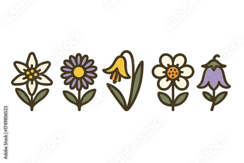 Colorful vintage style set of five alpine and meadow flower icons on white
