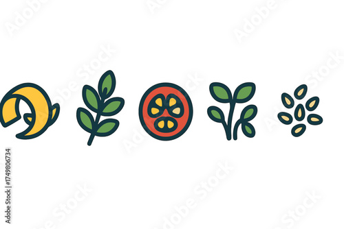 Simple food ingredients including banana peel, leafy herb, tomato slice, sprouts, and seeds