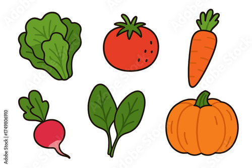 Fresh organic vegetables and produce including lettuce, tomato, carrot, radish, spinach, and pumpkin