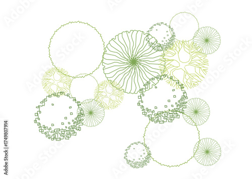 architecture drawing plant tree top view plan greenery vegetation vector. design nature architectural landscape set element illustration bush garden flora sapling minimal. architect isolated.