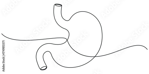 Stomach continuous one line drawing illustration. Single line drawing stomach icon. single line of stomach drawing. illustration