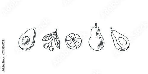 Line Drawings of Assorted Fruits and Berries