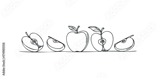 Line drawing of whole and sliced apples on white background