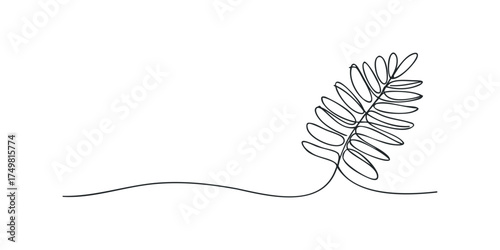 Continuous line drawing of a fern frond