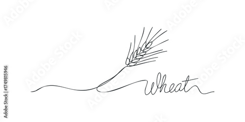 Single line drawing of a wheat stalk with text