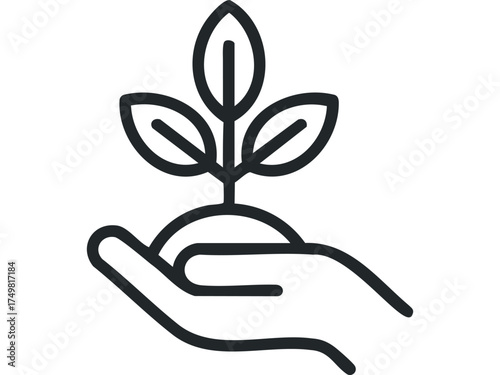 Hand holding young plant with leaves