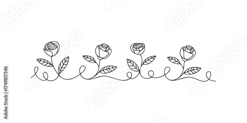 Continuous line drawing of four roses with leaves and stems