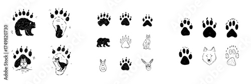 Various wild animal paw prints and stylized creature sketches