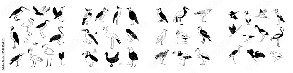 Fototapeta premium Diverse collection of detailed bird species rendered in black and white sketch style