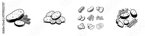 Hand drawn assortment of potatoes and various potato food products