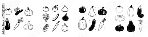 Assorted fresh garden vegetables in doodle style outline and silhouette