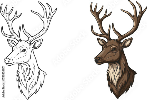Flat vector deer head illustration, realistic antlers, wildlife sketch, colored animal portrait, forest creature, nature design, artistic comparison, silhouette drawing
