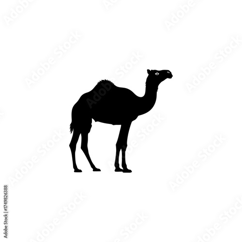 Black silhouette of a camel with two humps standing on a white background