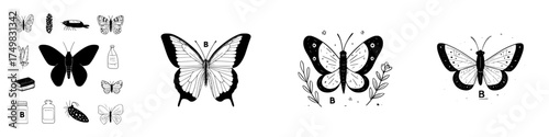 Stylized black and white drawings of various butterflies and insects